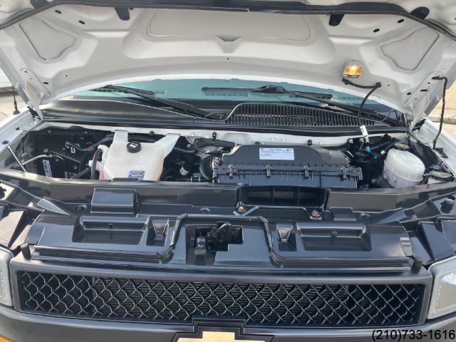 2020 Chevrolet Express Passenger LS photo 9