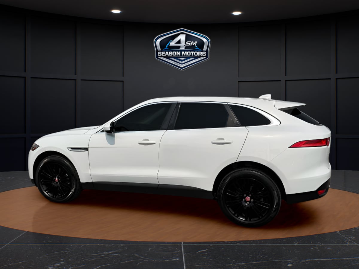 Image #8