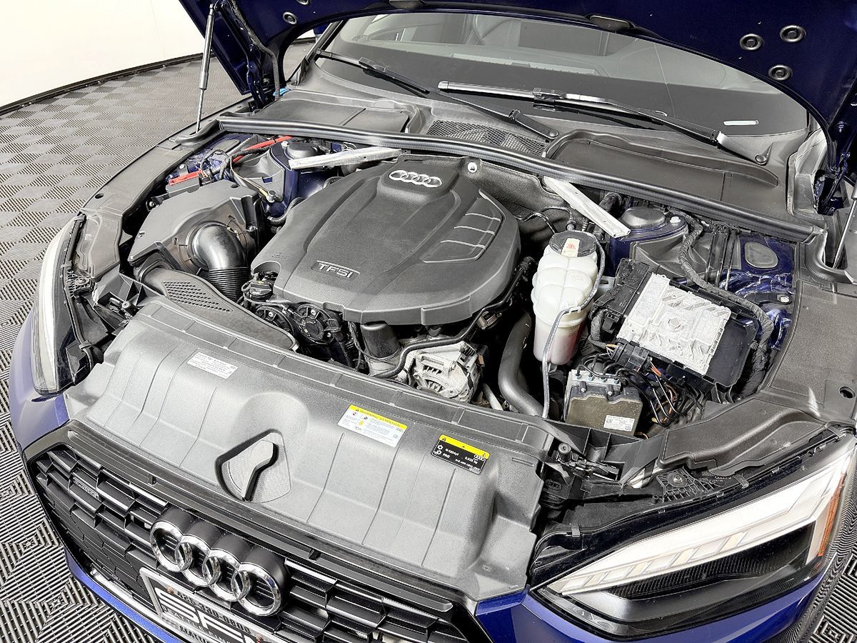Image #19