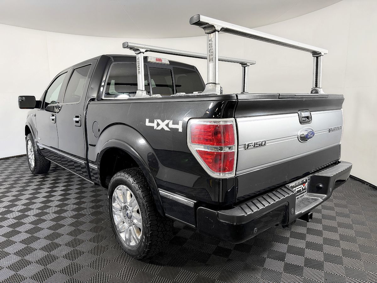 Ford F-150 photo 15