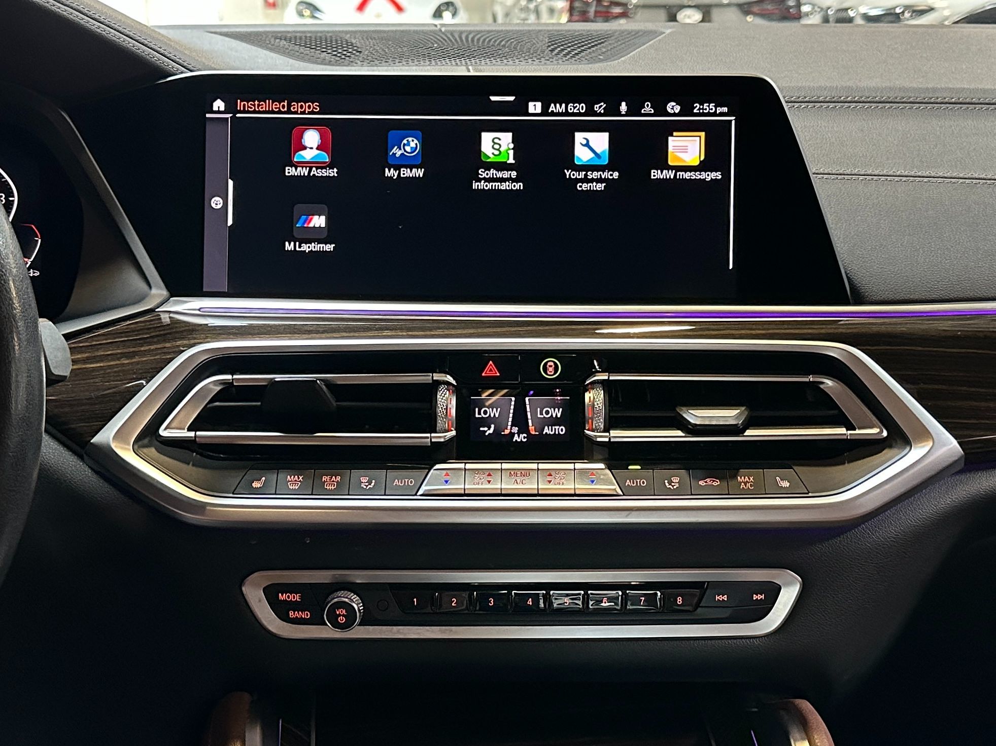 2020 Bmw X6 xDrive40i photo 12