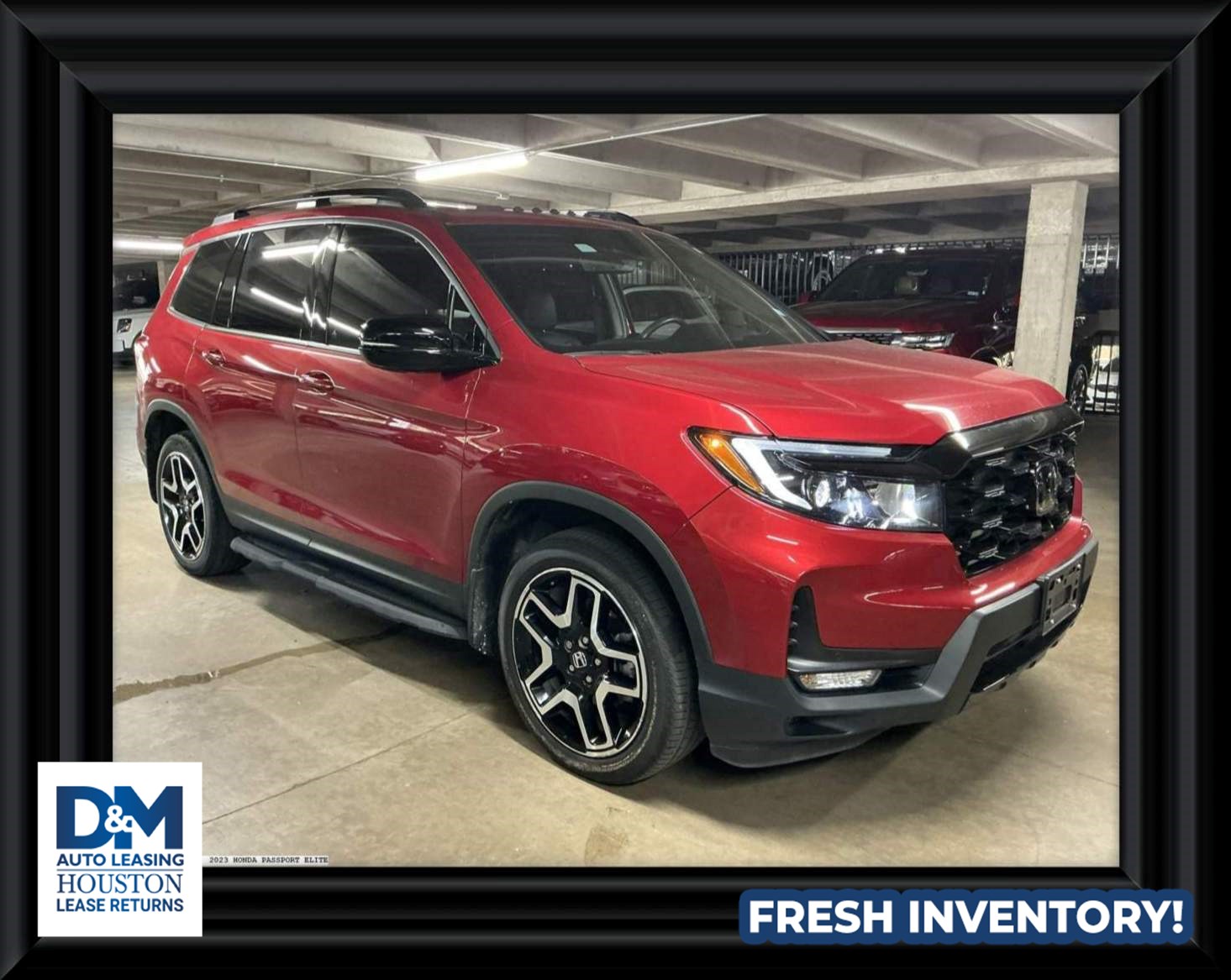 2023 Honda Passport 3.5 Elite 4WD Auto's photo