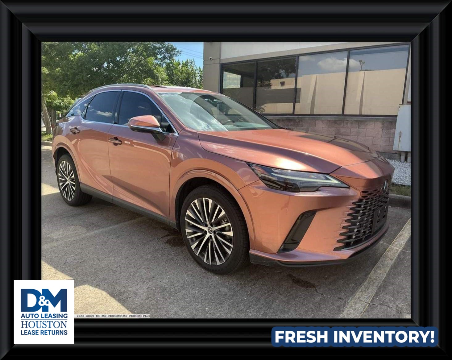 2023 Lexus RX 350 350 Premium Plus FWD's photo