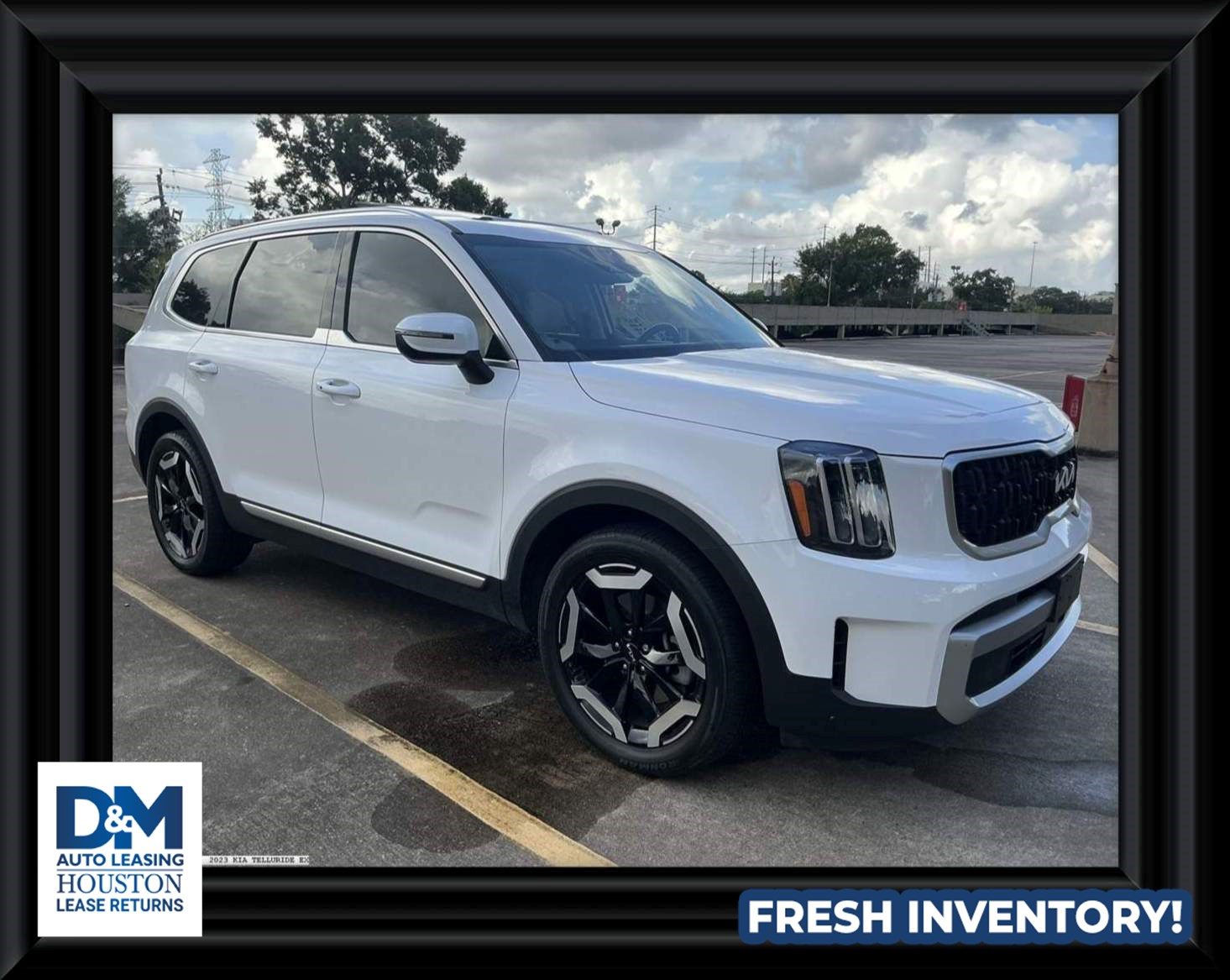2023 Kia Telluride EX FWD's photo