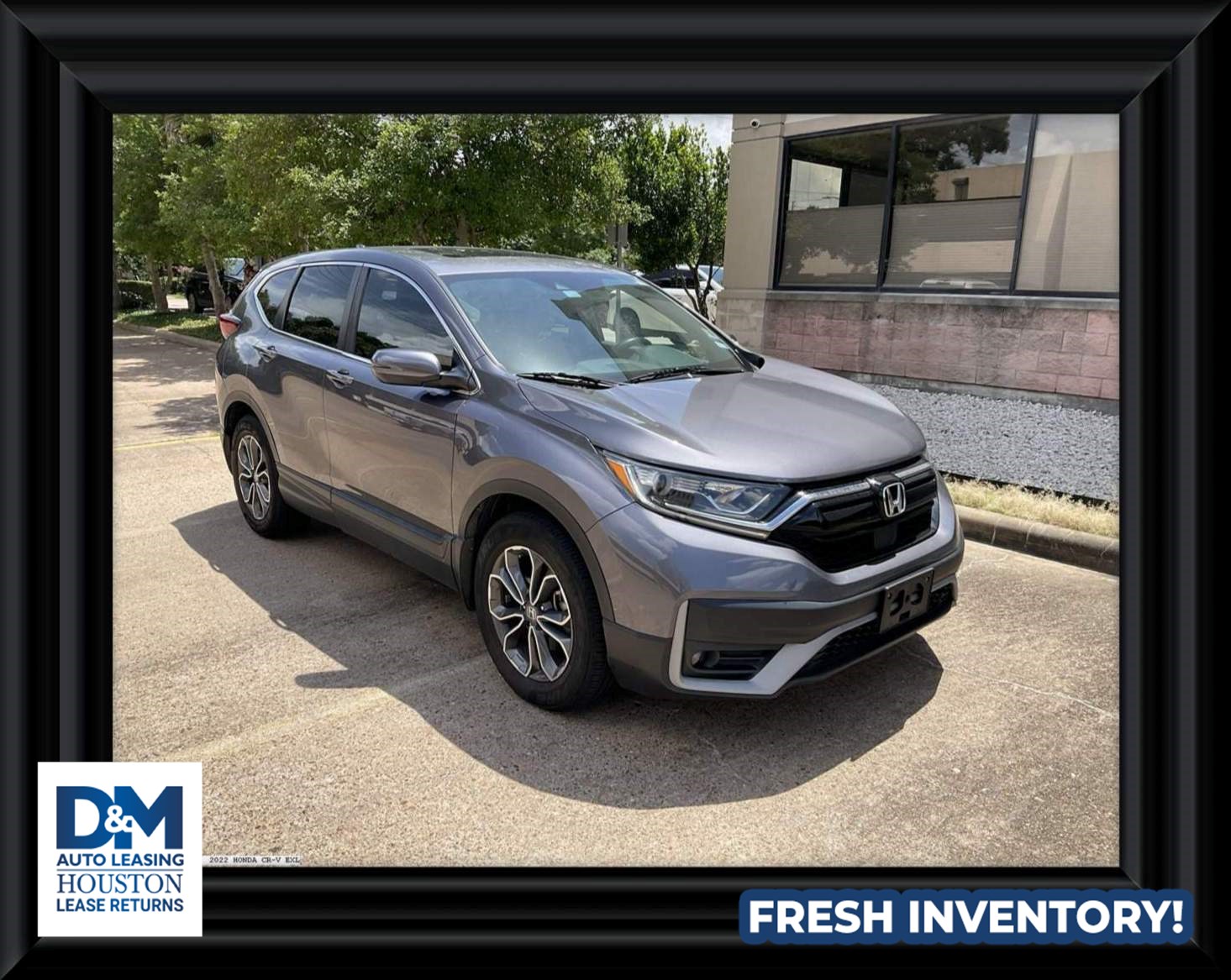 2022 Honda CR-V EX-L 2WD's photo