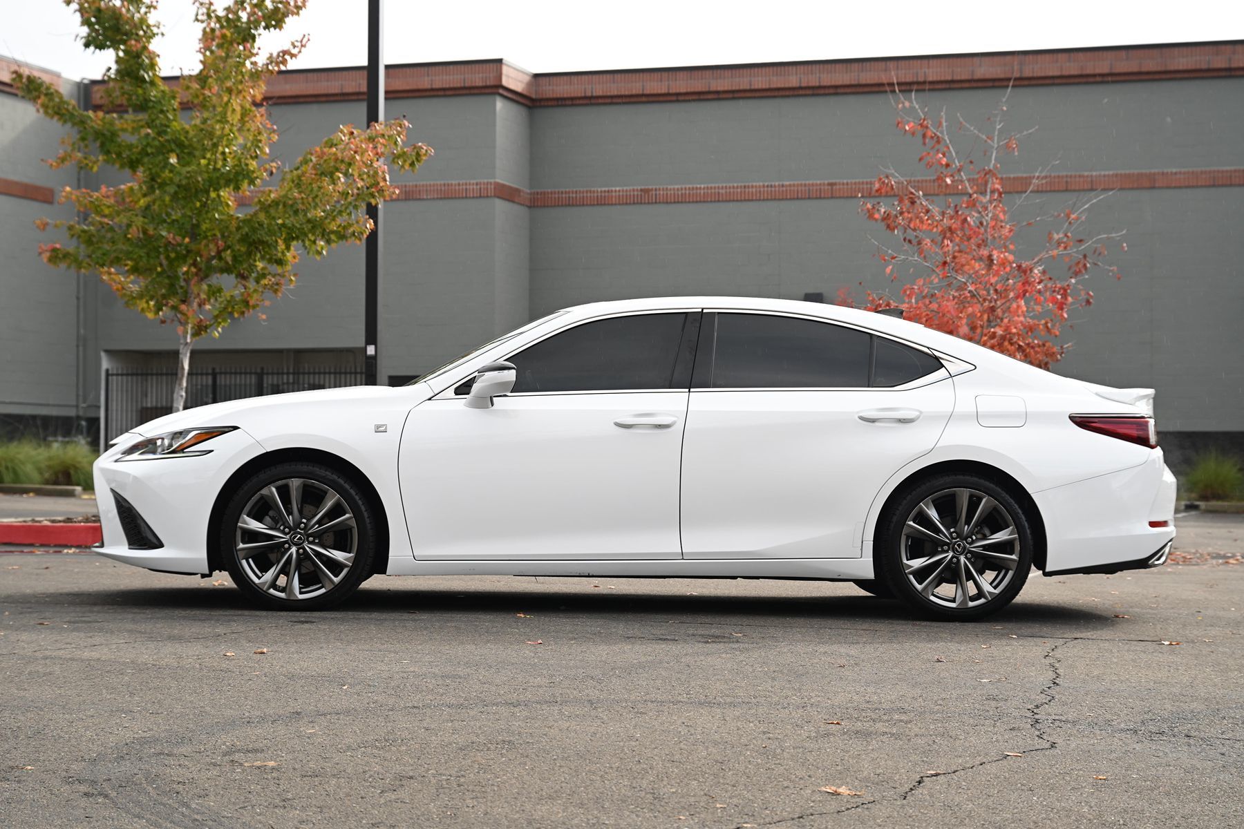 2019 Lexus ES 350 F SPORT photo 3