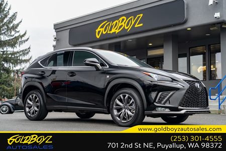 2021 Lexus NX 300 F SPORT