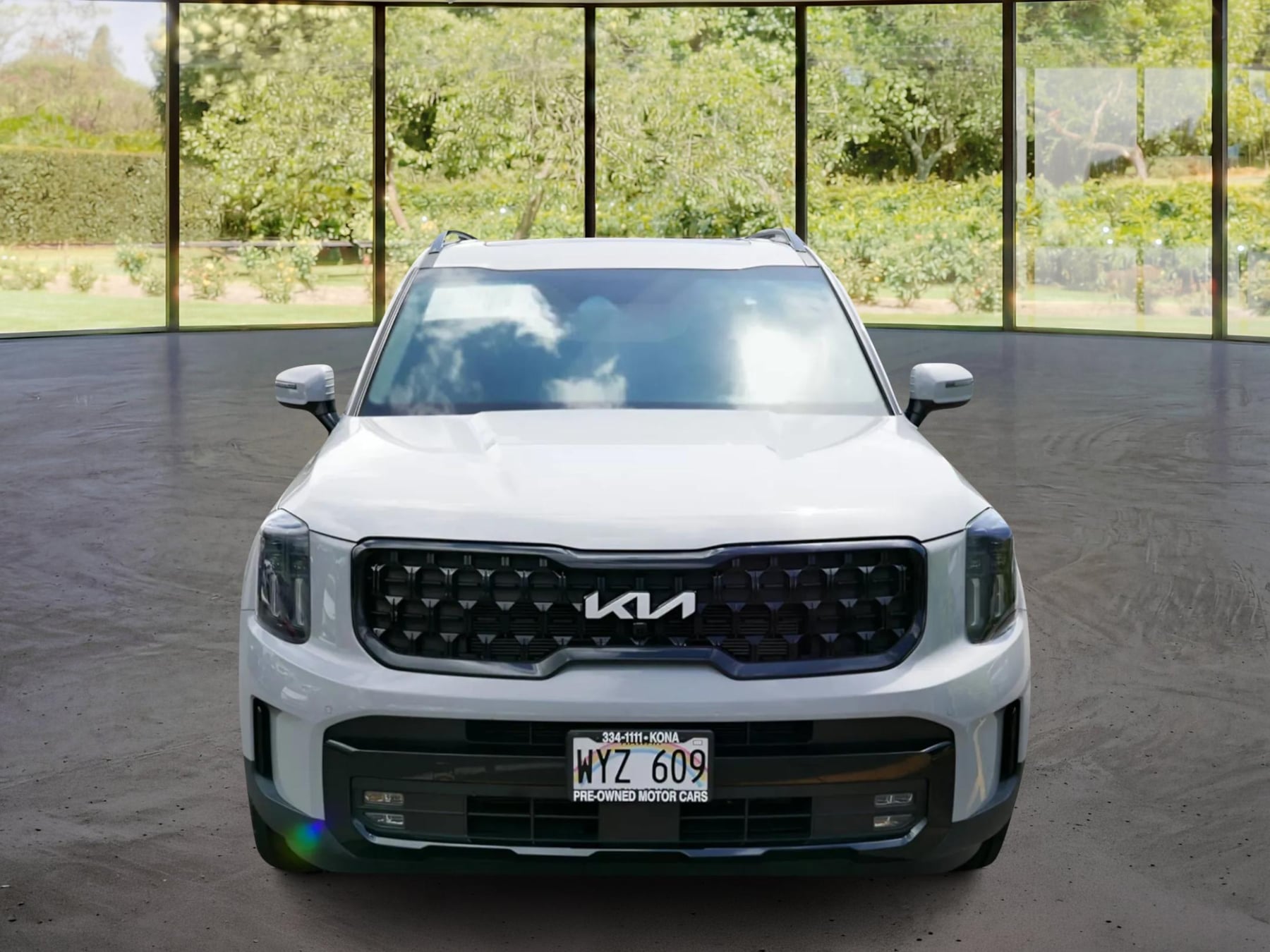 Kia Telluride photo 2