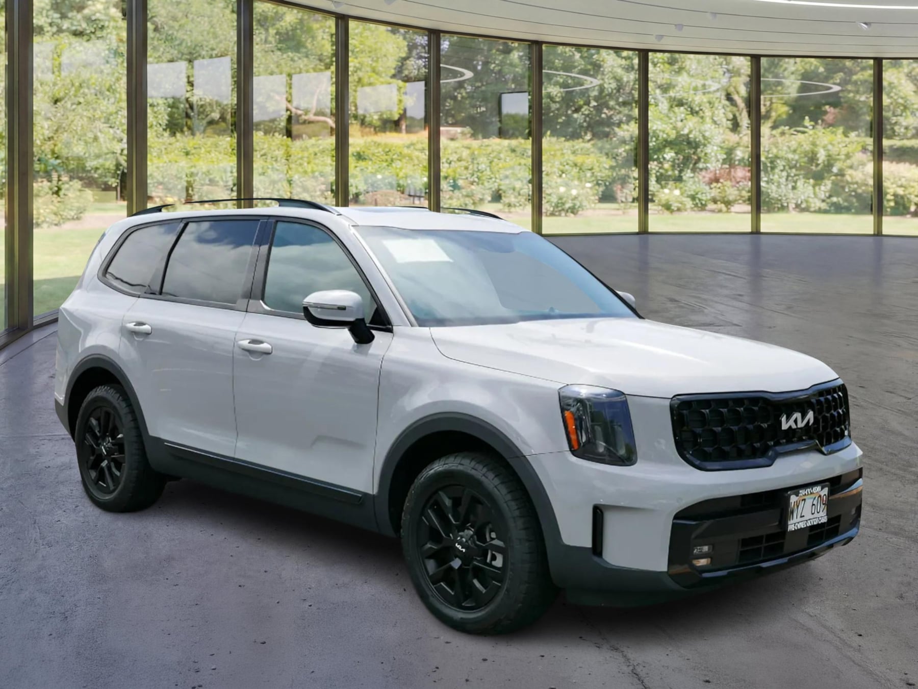 Kia Telluride photo 3
