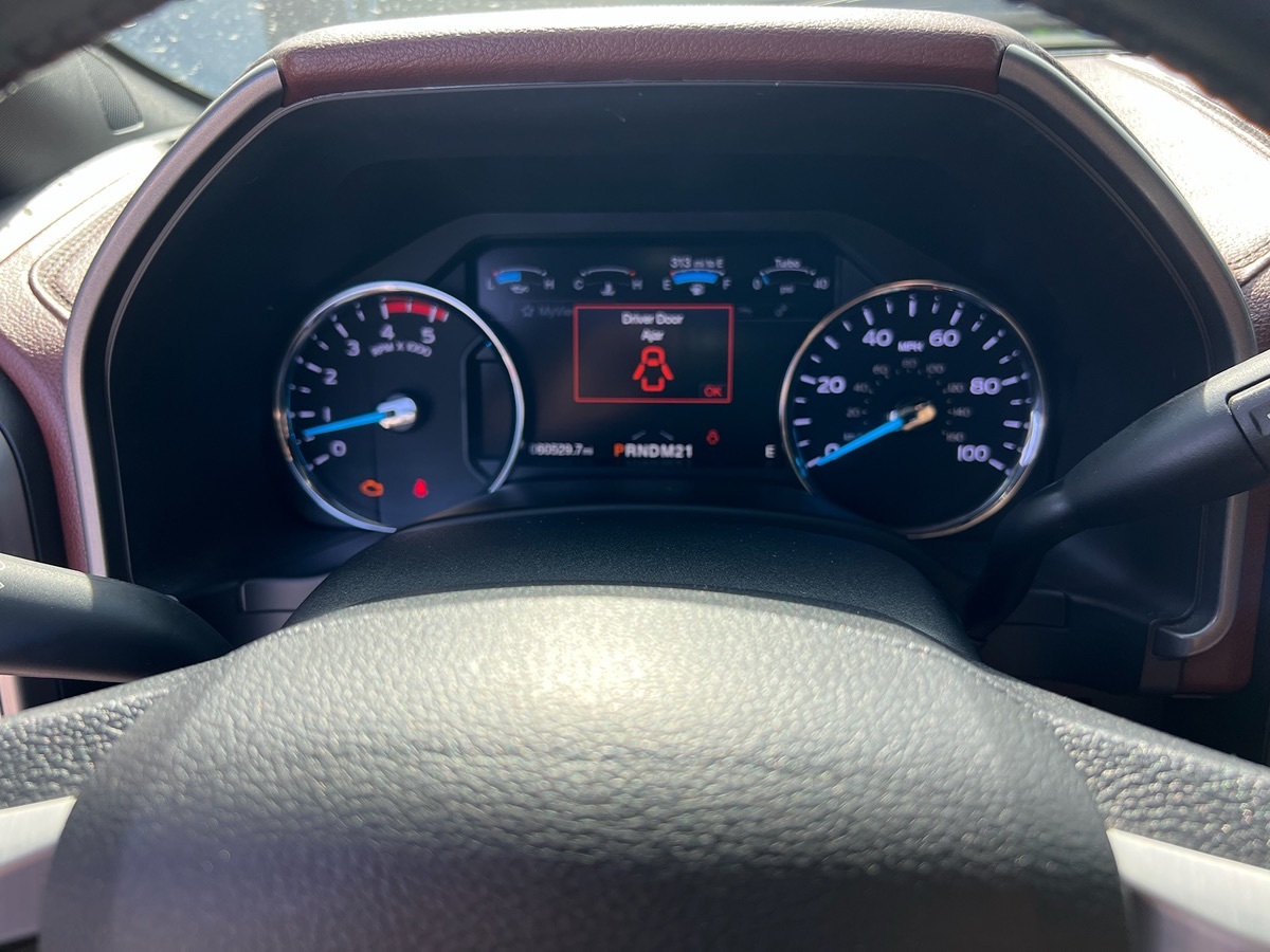 2019 Ford F-250 Platinum photo 22
