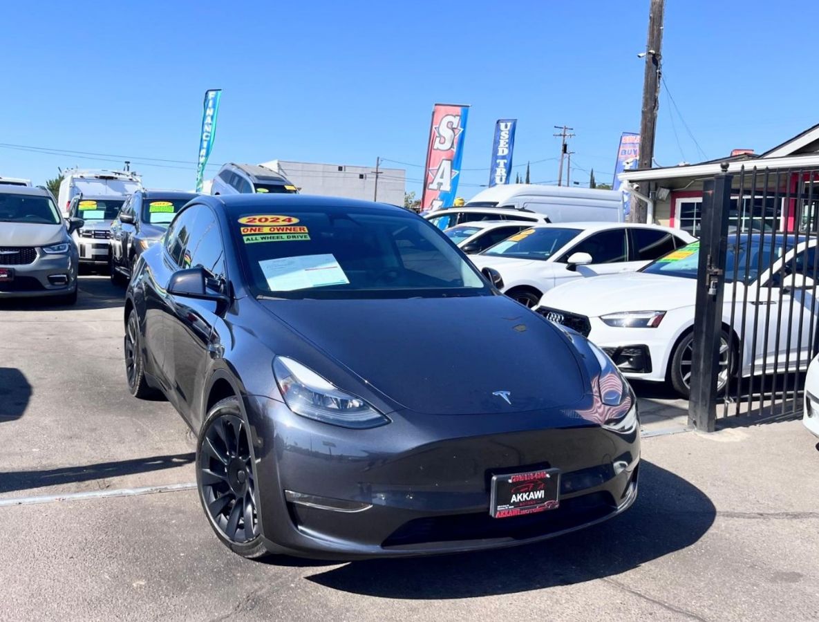 Tesla Model Y photo 2