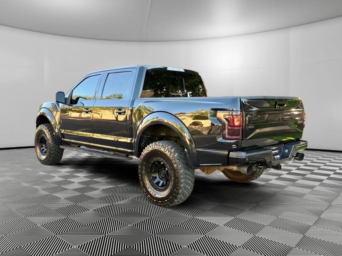 2019 Ford F-150 Raptor photo 3