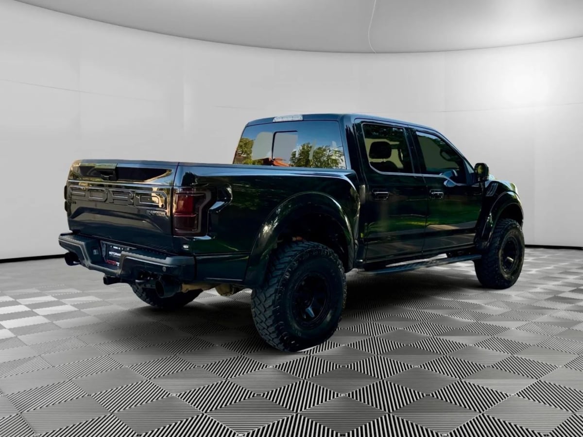 2019 Ford F-150 Raptor photo 5