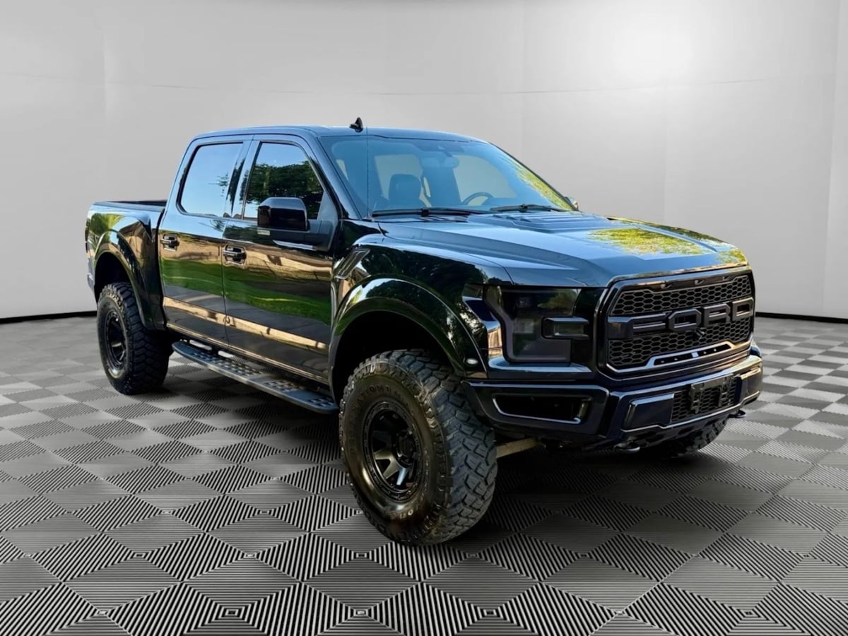 2019 Ford F-150 Raptor photo 7