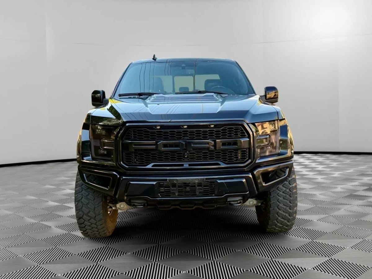 2019 Ford F-150 Raptor photo 8