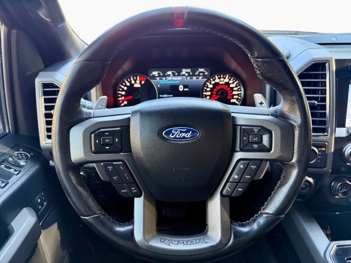2019 Ford F-150 Raptor photo 12