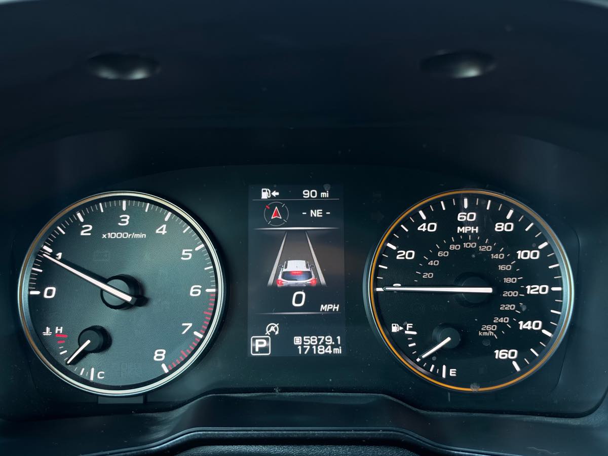 Image #12