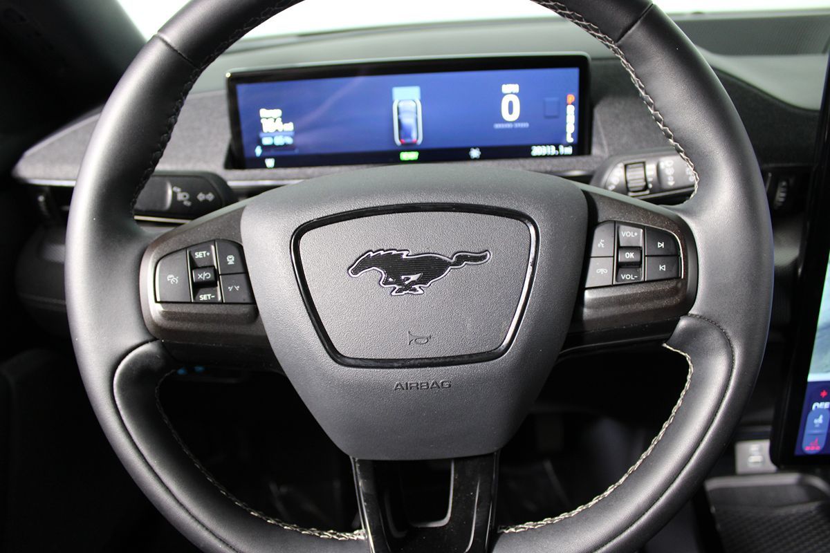 2022 Ford Mustang Mach-E GT Performance Edition photo 10