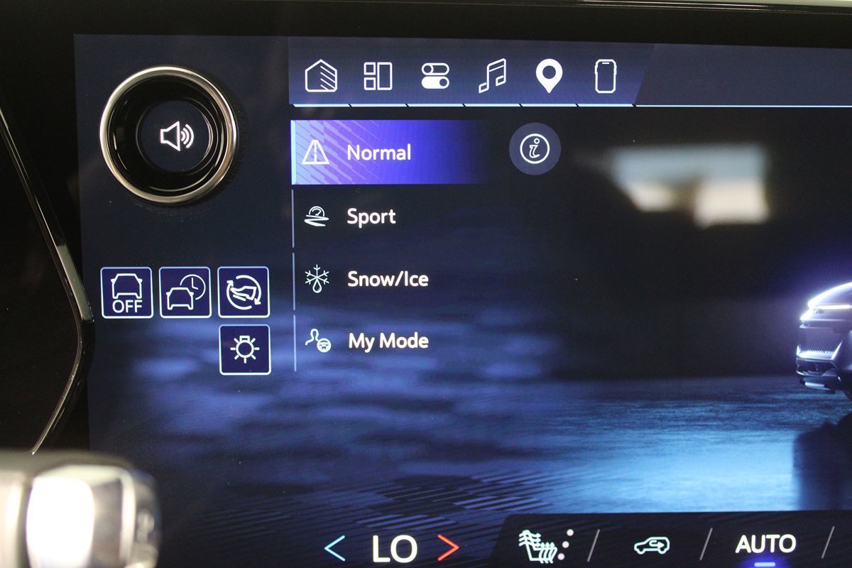 Image #22