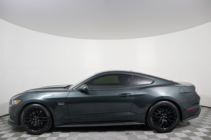 Sold 2015 Ford Mustang GT Premium 50th Anniversary in Montclair