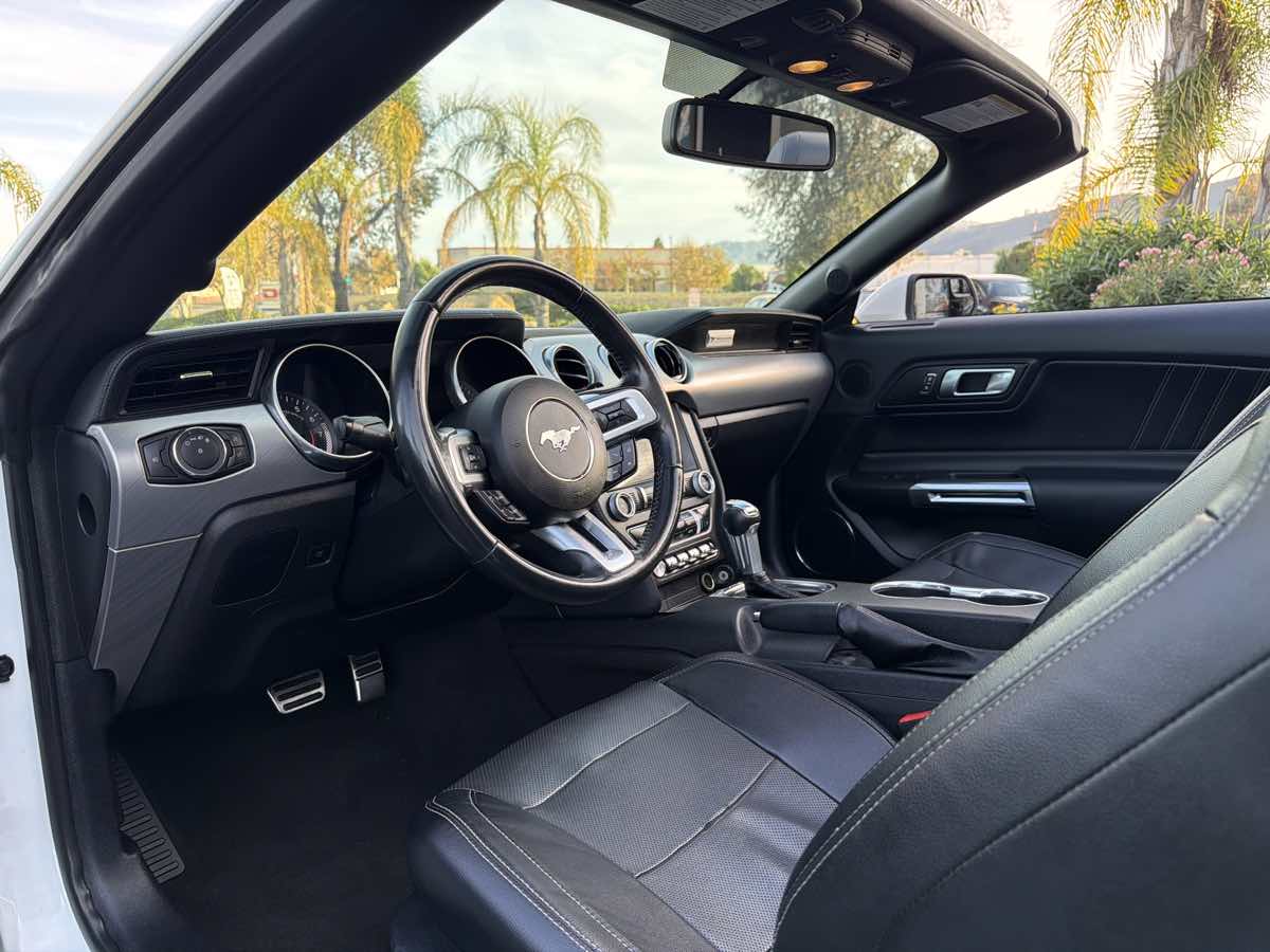 2019 Ford Mustang EcoBoost Premium Convertible photo 3