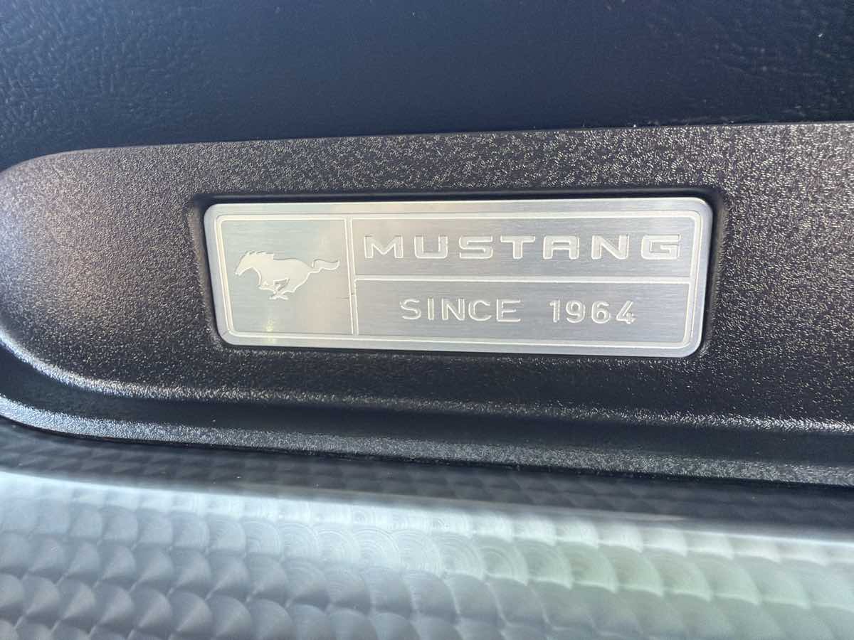 Ford Mustang photo 21