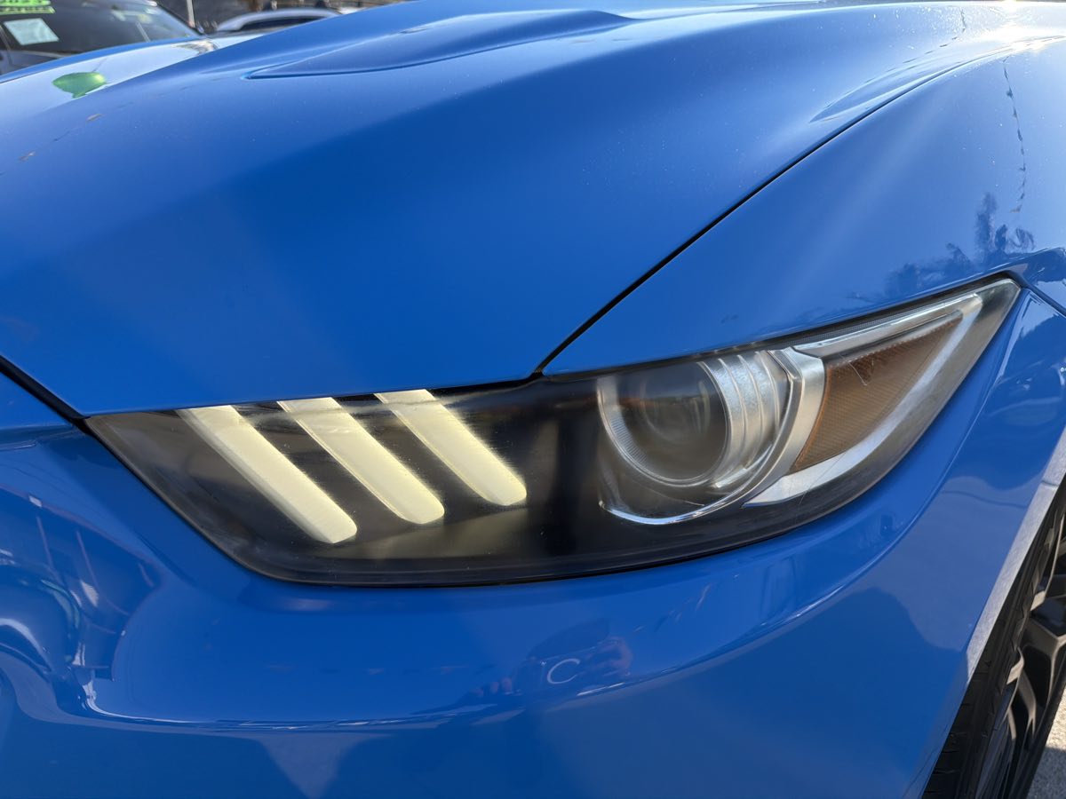Ford Mustang photo 24