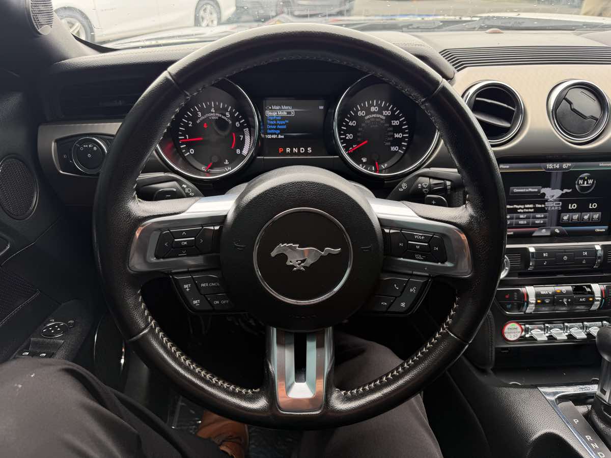 Image #8
