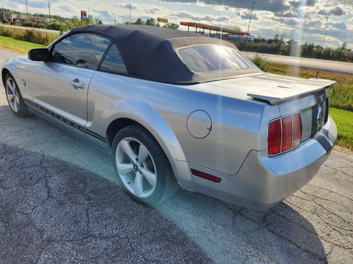 2009 Ford Mustang photo 6