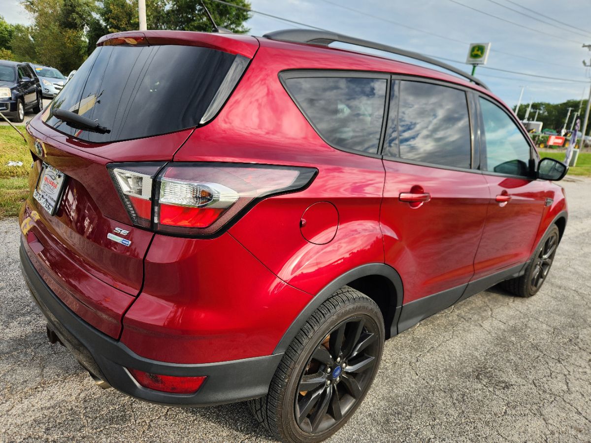 Photo 8 of this Ford Escape