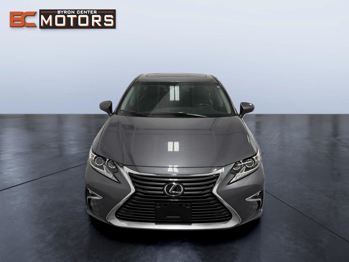 Image #8