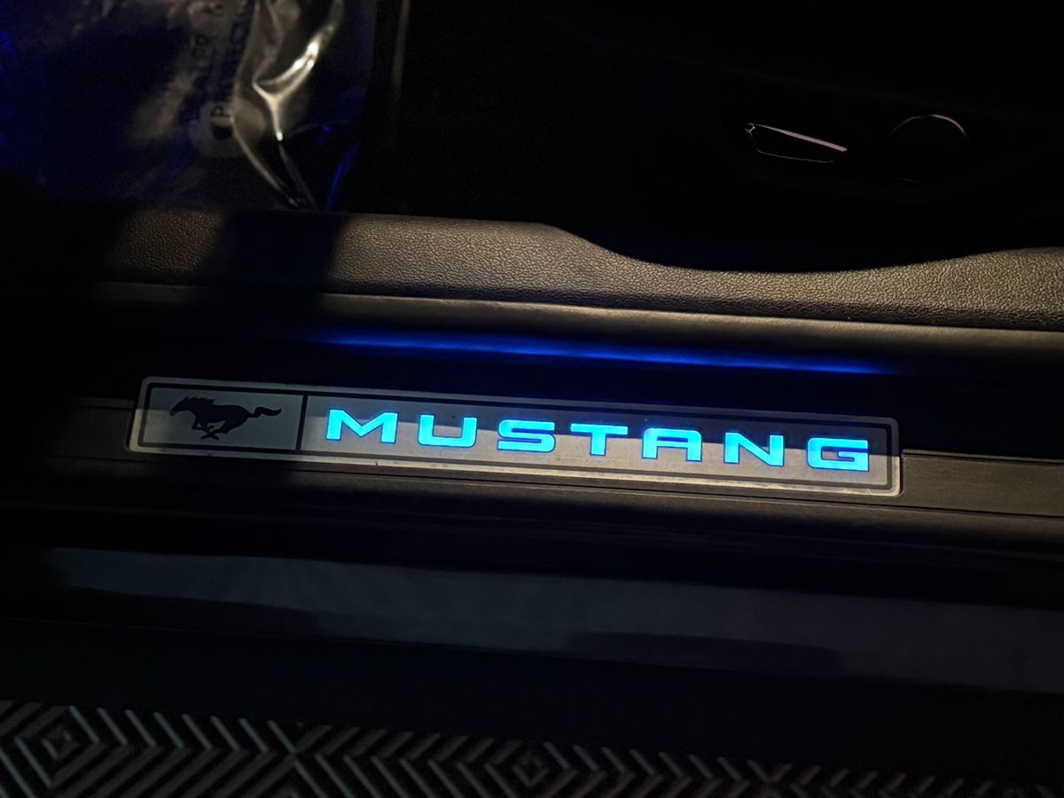 Ford Mustang photo 12