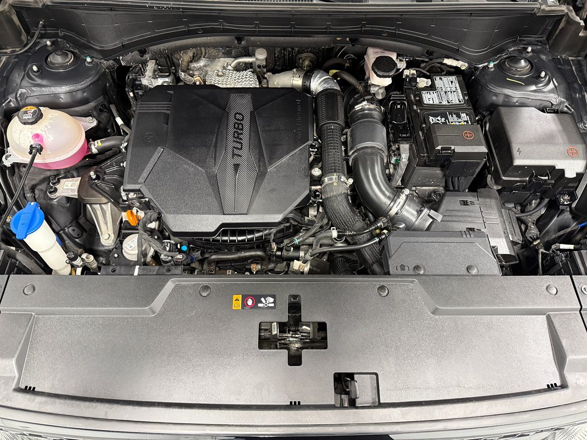 Photo 41 of this Hyundai Santa Fe