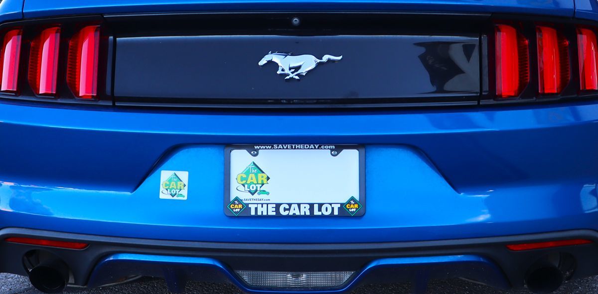 Image #21