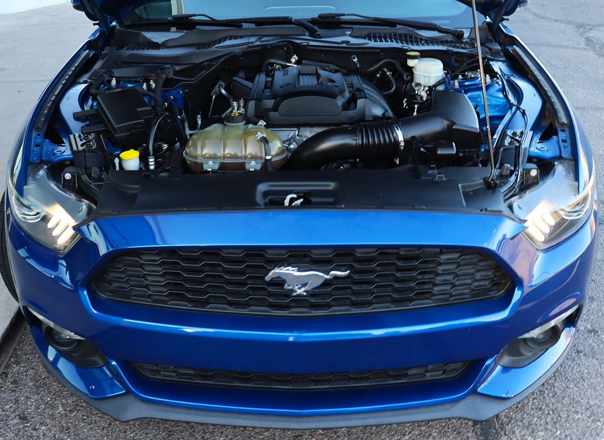 Image #53