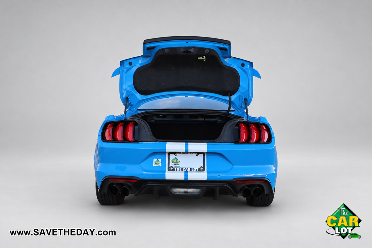Image #12