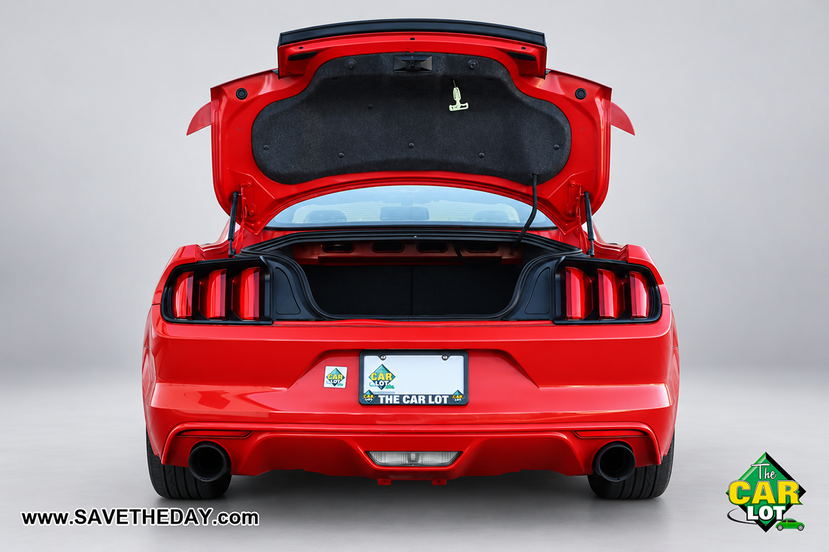 Image #12