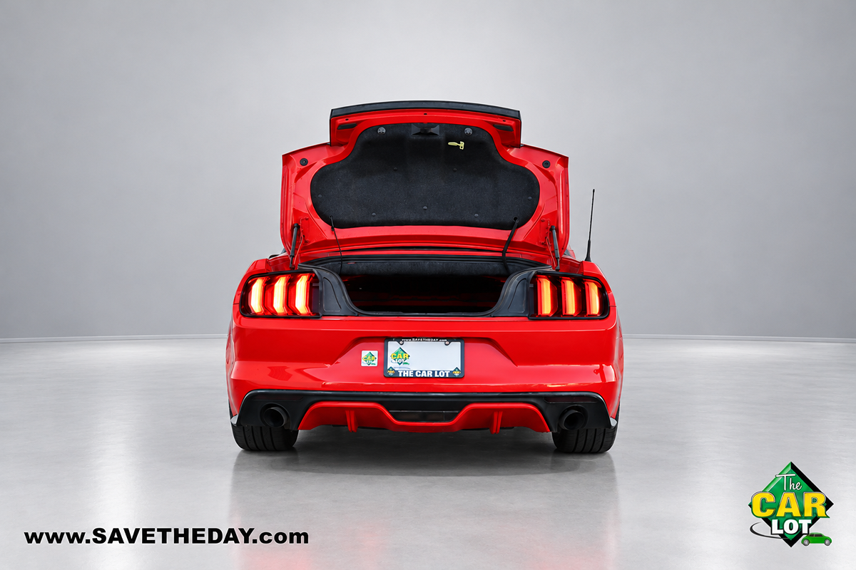 Image #12