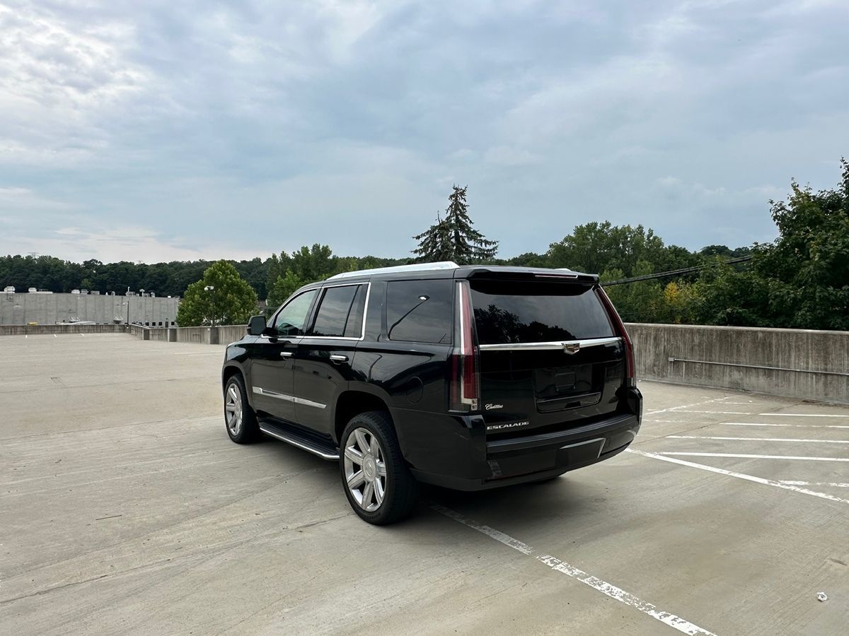2015 Cadillac Escalade Luxury photo 7