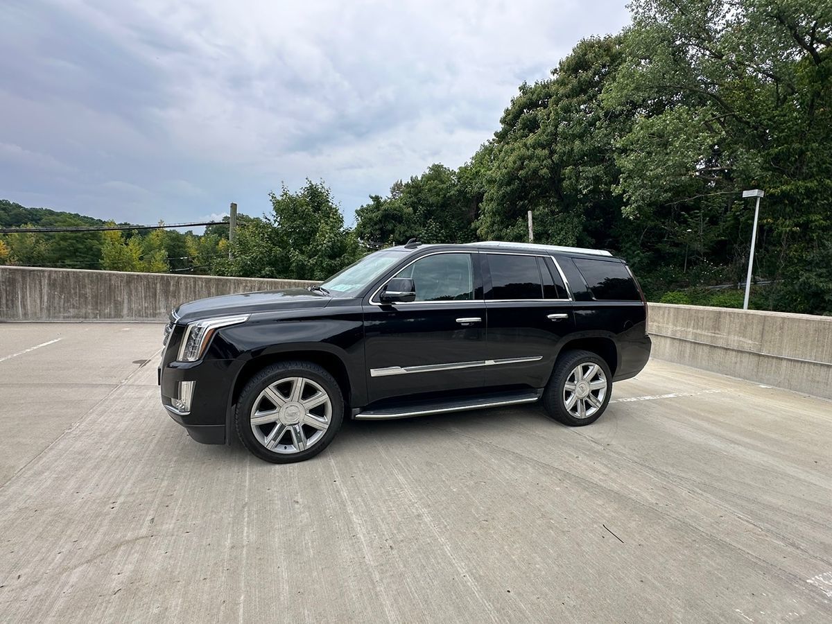 2015 Cadillac Escalade Luxury photo 9