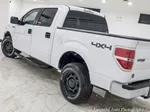 2014 Ford F-150 XL photo 10