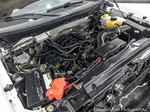 2014 Ford F-150 XL photo 25