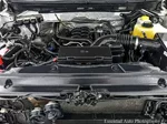 2014 Ford F-150 XL photo 23