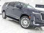 2022 Cadillac Escalade ESV Premium Luxury photo 4