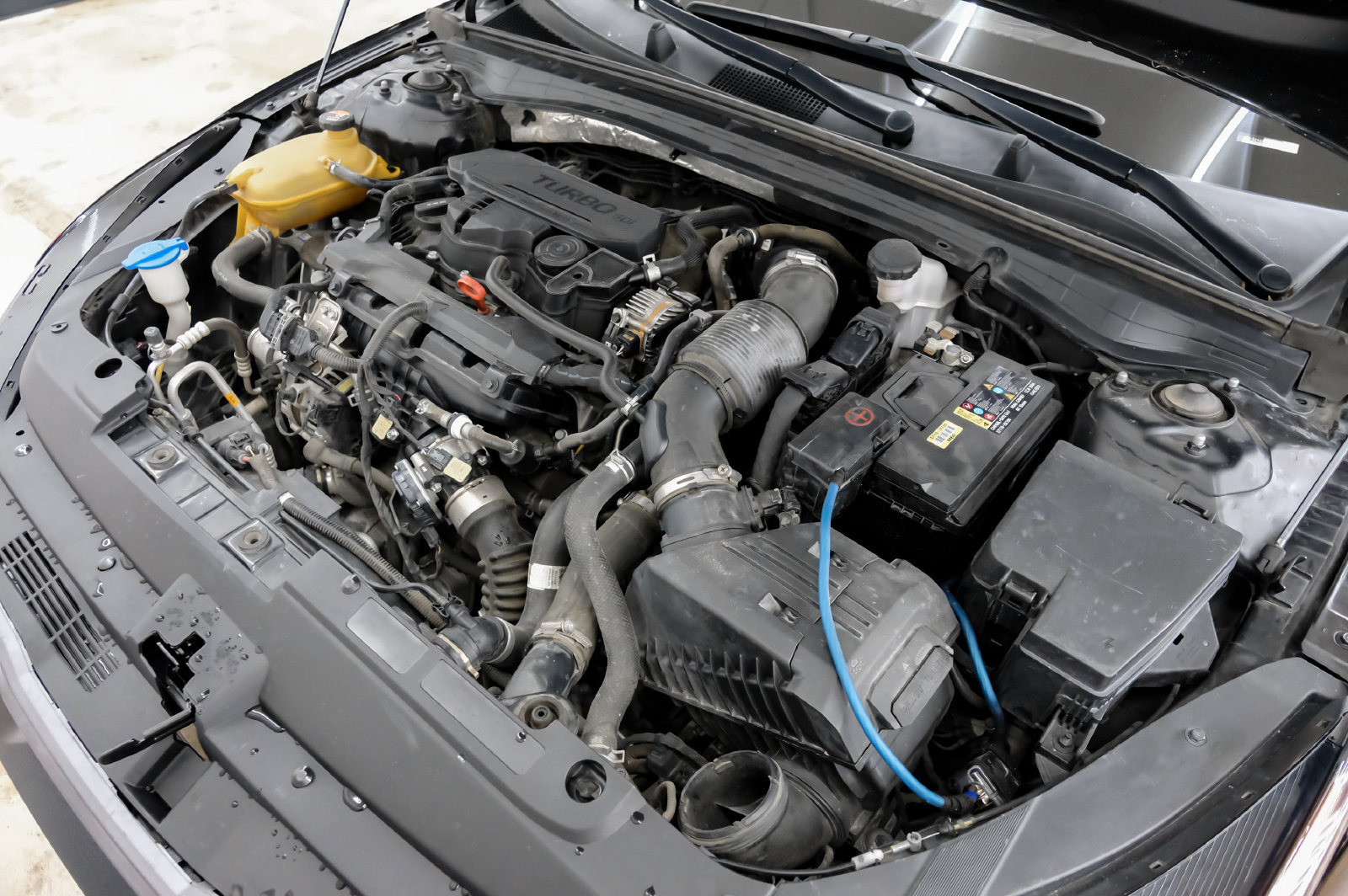 Photo 53 of this Kia K5