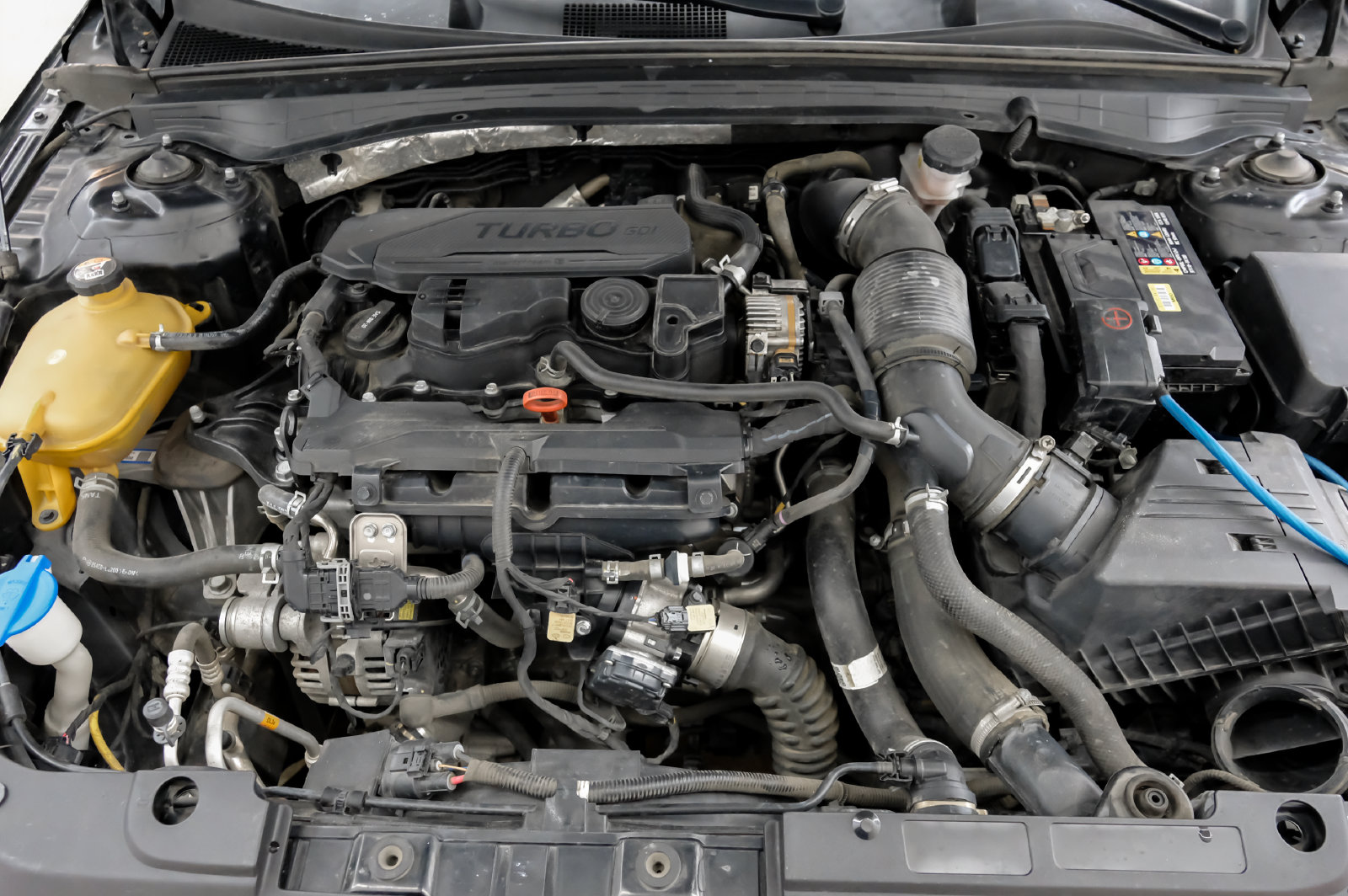 Photo 54 of this Kia K5