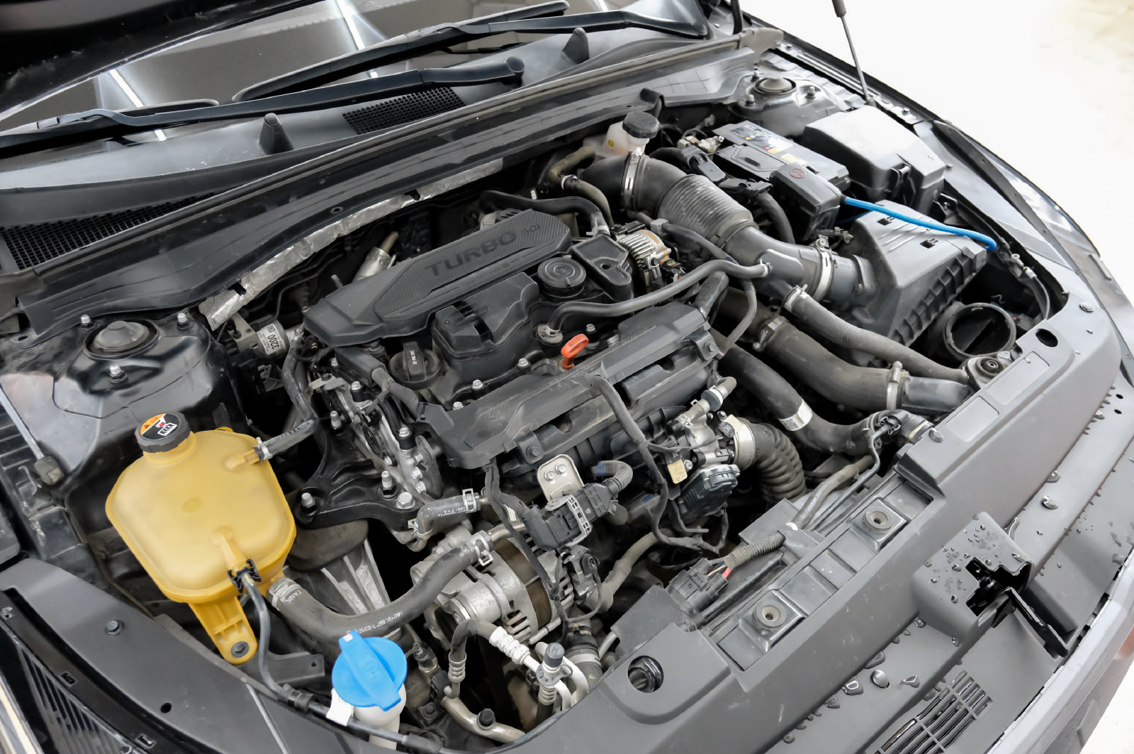 Photo 55 of this Kia K5