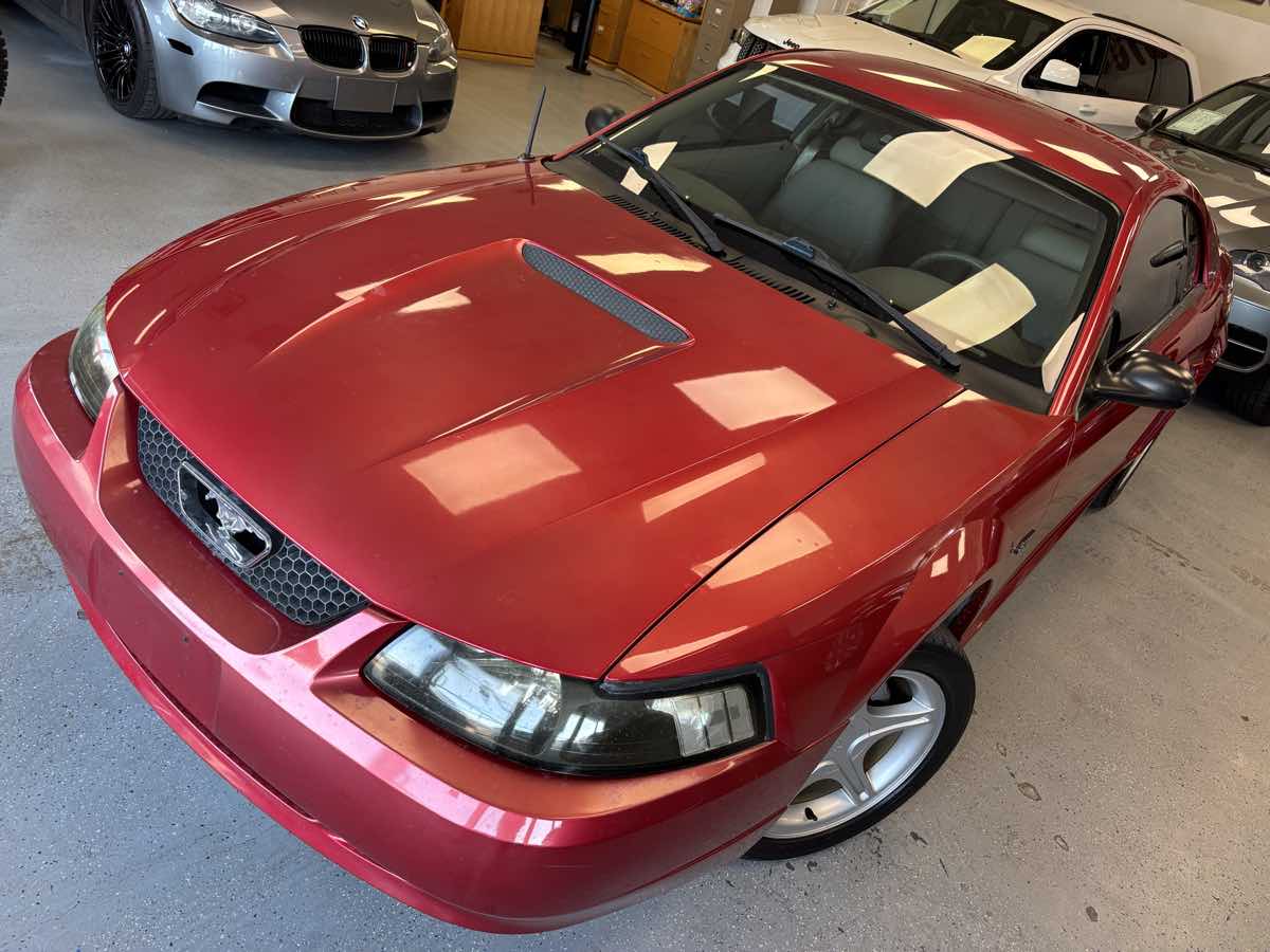 2000 Ford Mustang GT photo 6