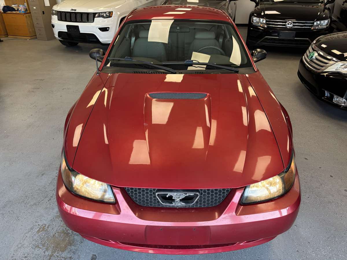 2000 Ford Mustang GT photo 7
