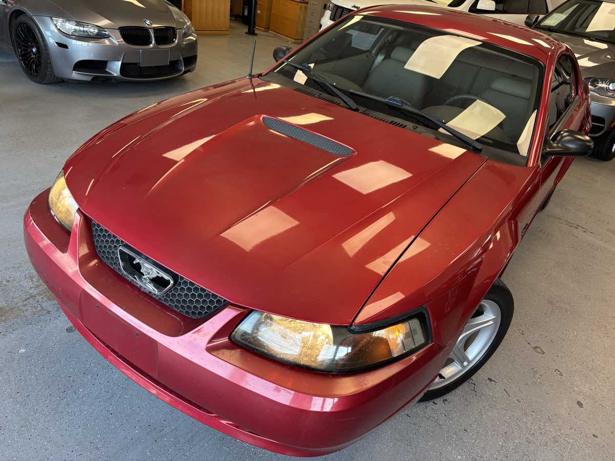 2000 Ford Mustang GT photo 8